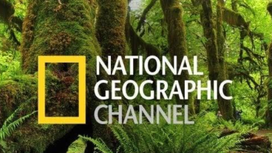تردد قناة ناشيونال جيوغرافيك على جميع الأقمار 2025 محدث