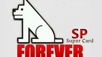 هل سيرفر فوريفر يفتح القنوات الاباحية